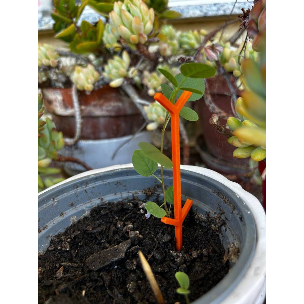 Suporte em Y para Plantas Treinamento de Estresse Grow Indoor Outdoor Impresso em 3D PETG
