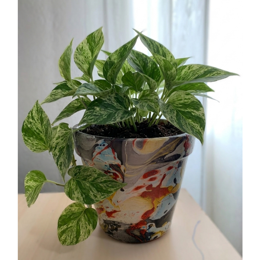 Vaso de barro, totalmente pintado à mão, criado para trazer cor e personalidade ao seu espaço.