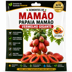 Sementes de Mamão Papaia mamao Vermelho Gigante