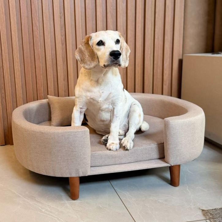POLTRONA SOFÁ PET LUXO DIVERSAS CORES (Opção impermeavel) Com Almofada, ESPAÇOSA DOIS TAMANHOS-Ideal para cães e gatos.