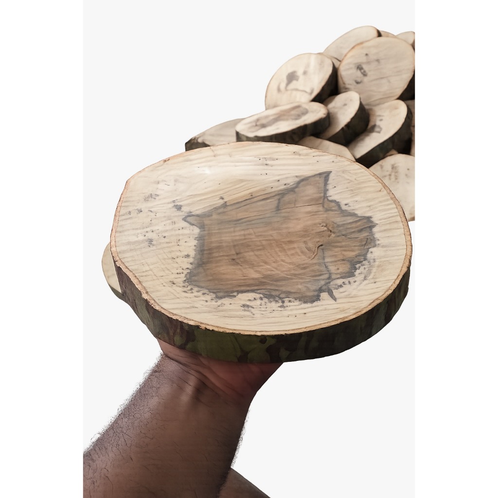 10 Bolachas de Madeira Natural 10 a 20cm Porta Panela Artesanato DIY