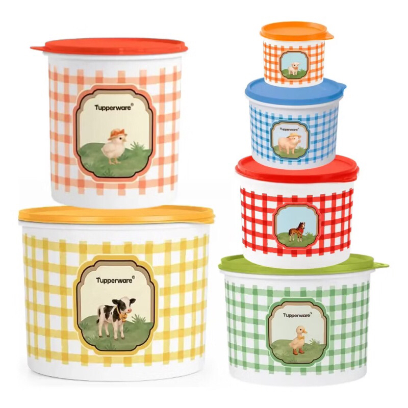 Kit Tupperware Caixa de Mantimento Arroz 5kg Plus + Feijão 2kg + Sal 1,3kg Pop box