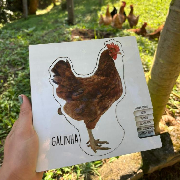 Quebra-Cabeça de Encaixe Ciclo da Vida da Galinha Brinquedo Educativo Montessori em Madeira