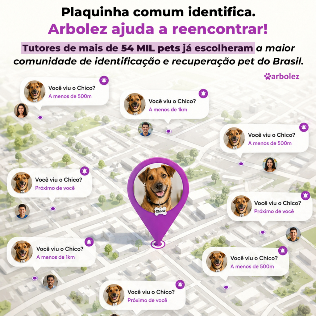 Placa De Identificação Pet Cachorro Gato Gravada Nome Telefone QR Code — imagem 2 de 2