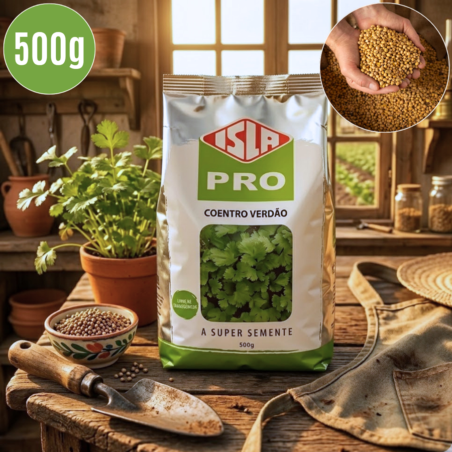 Sementes de Coentro 500g hortaliça alta qualidade e rendimento super Aromático - ISLA
