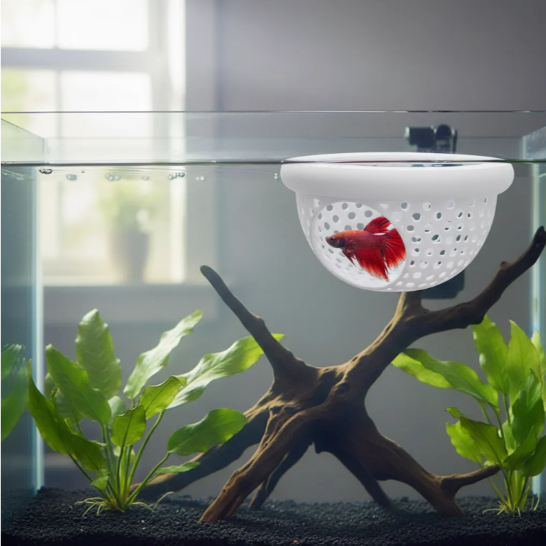 Esconderijo Toca Folha Flutuante Para Peixes Bettas peixes pequeno de Aquário