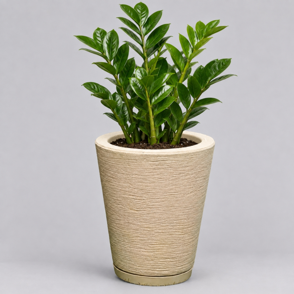 Vaso para Planta Decorativo Cone Redondo Escovado N°1 Luxo Moderno com Prato