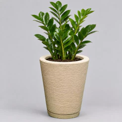 Vaso para Planta Decorativo Cone Redondo Escovado N°1 Luxo Moderno com Prato