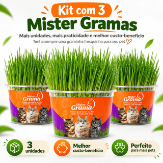 Grama Para Gato Mister C/ 3 Unidades – Auxilia na Digestão e Bola de Pelo / Fácil de Plantar