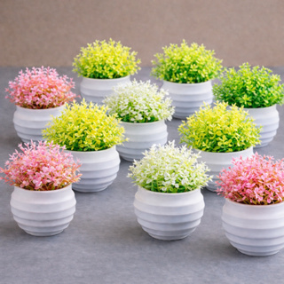 Kit 5 a 10 Vasinhos Branco de Planta Artificial Flores Decorativos Decoração Rack Sala Cachepot em Oferta na Shopee