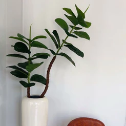 Árvore Ficus Lyrata Artificial Para Decoração 110cm a 180cm Sem Vaso