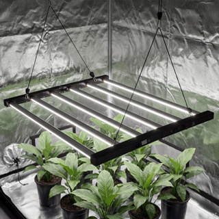 Quantum Barra 720w Pro-light Full Spectrum Grow Up Preto em Oferta na Shopee