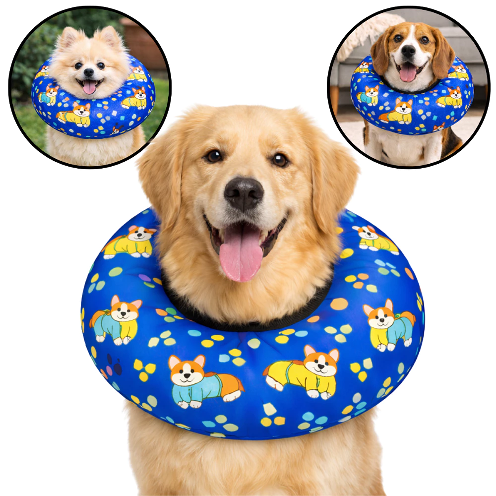 Colar Elizabetano Cone Pós Cirugico de Cachorros Gatos Cervical Elizabetano Disco Ajustável