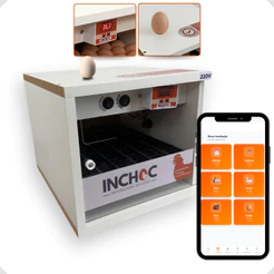 Chocadeira 28 ovos galinha + App + ovoscopio+ rolagem automática frete grátis termostato configurado