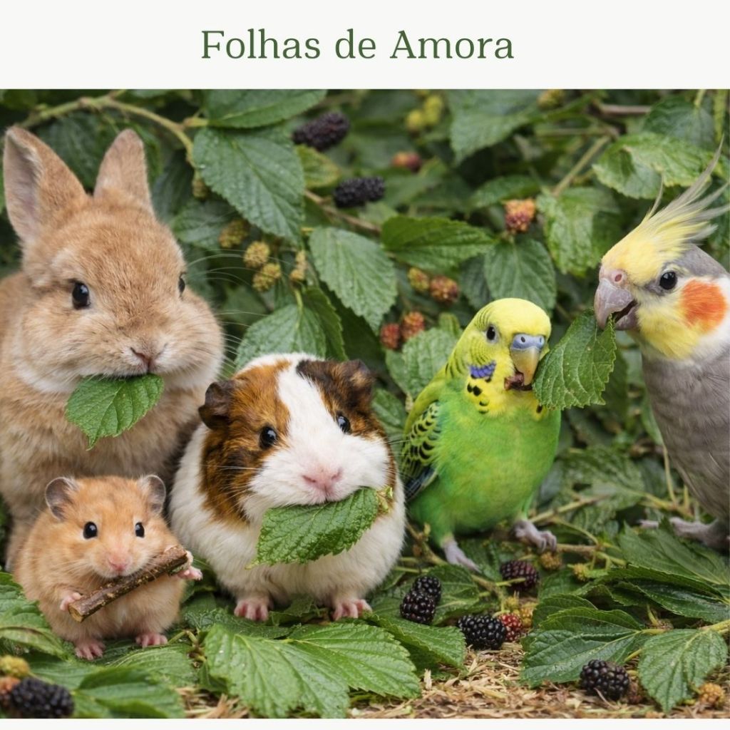 Petisco Natural de Folha de Amora Desidratada para Roedores e Aves Alimentação Saudável