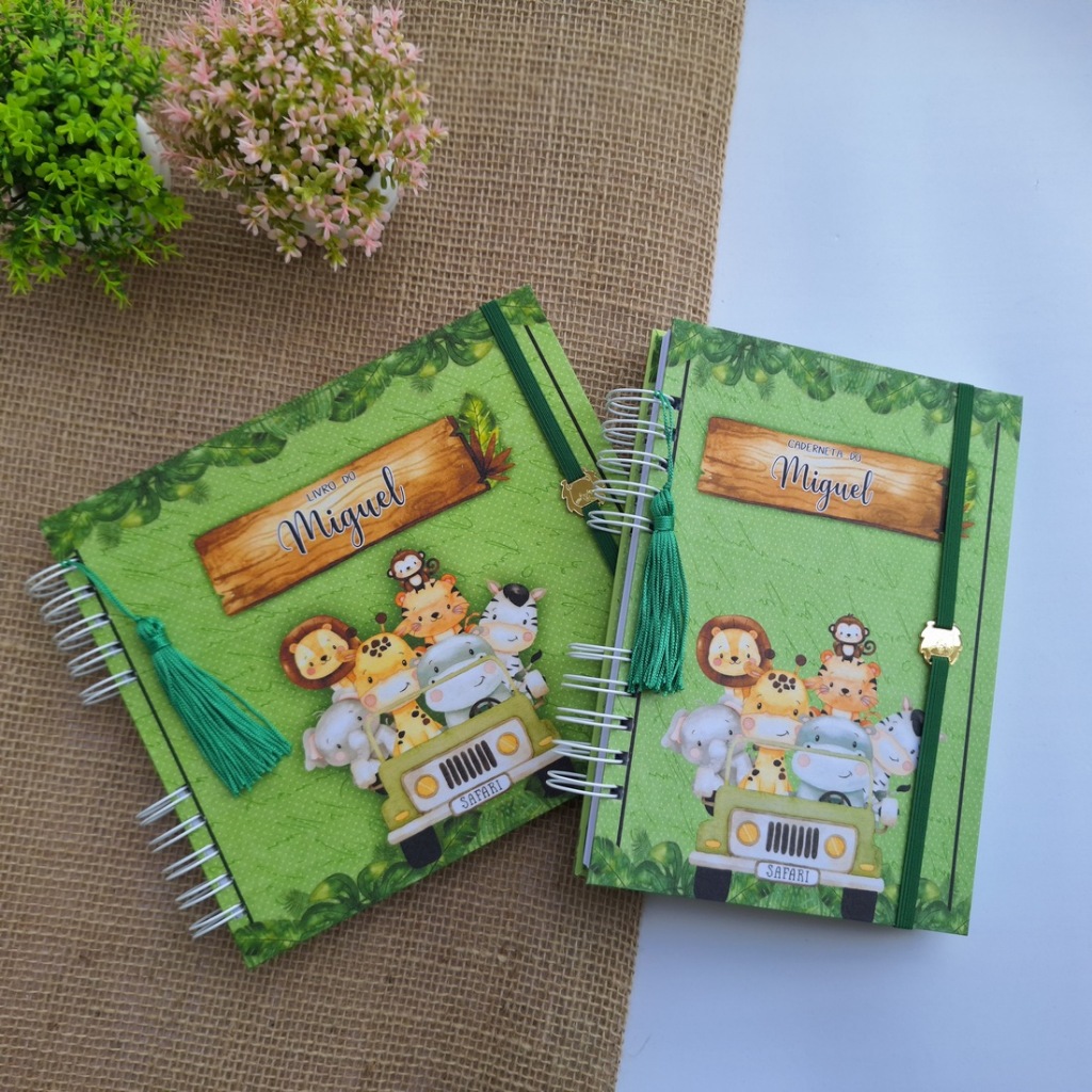 Kit livro e caderneta do bebê - Safari menino