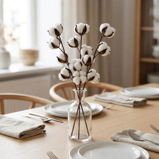 Haste Algodão Seco Para Buquê E Composição Floral Artesanato Planta Natural Durável Sem Rega 55cm