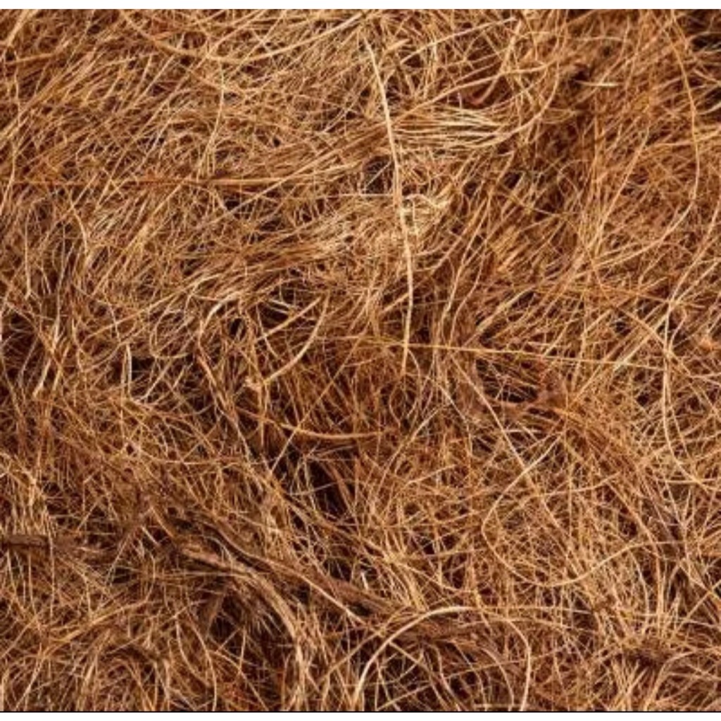 Fibra de Coco Natural Para Drenagem de Plantas Vasos Terrários Orquídeas Jardinagem