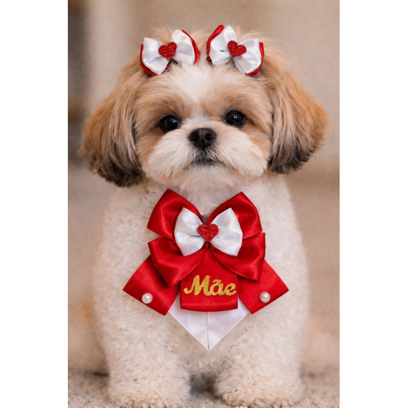 1 conjunto pet dia das mães acessórios luxo pet dia das mães laços banho e tosa laços para cachorro dia das mães pet