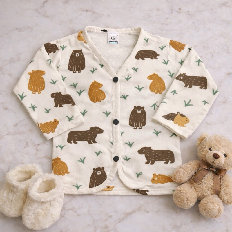 Kit 2 Blusas Bebê Manga Longa Botão Americano Meia Estação Menino Menina 0 a 12 Meses Pijama