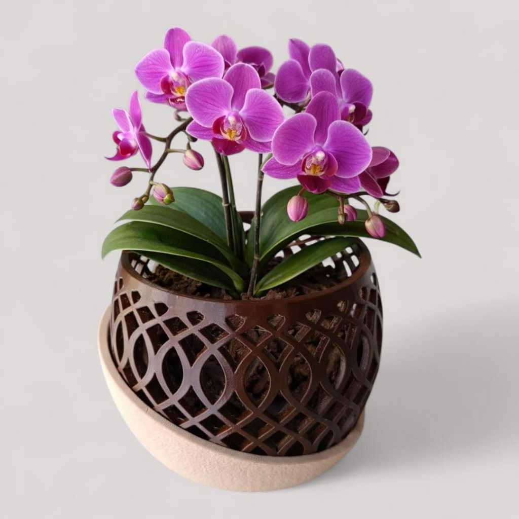 Vaso para Orquídeas Luxo Elos