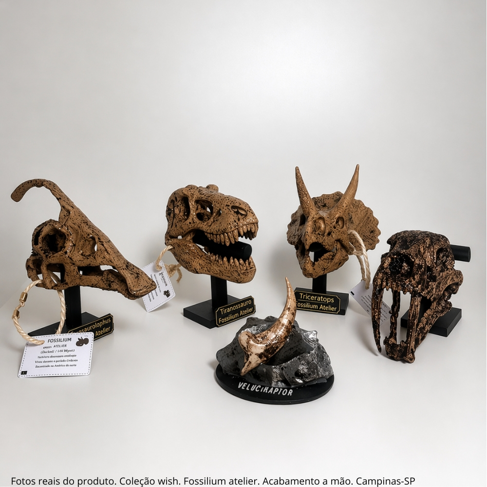 Crânios Decorativos com Pedestal - Coleção WISH Fossilium Atelier