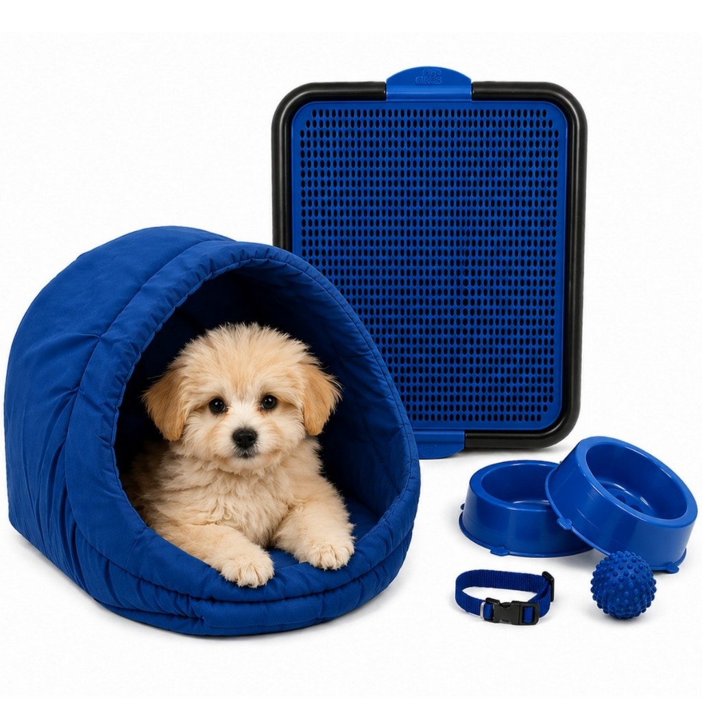 Kit Cama Toca Iglu Pet Médio Sanitário Comedouro Coleira Bolinha