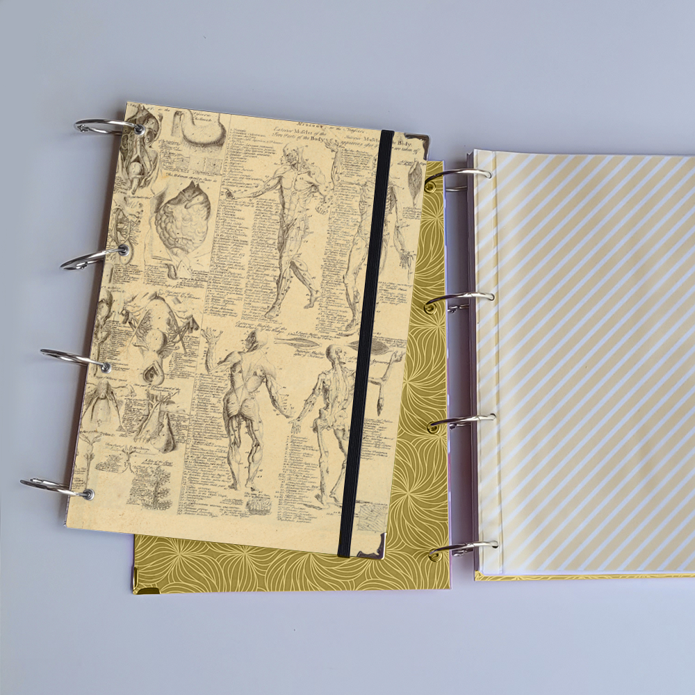Caderno Argolado Medicina Anatomia (Capa e Argolas Articuladas) Universitário Colegial A5 Fichário