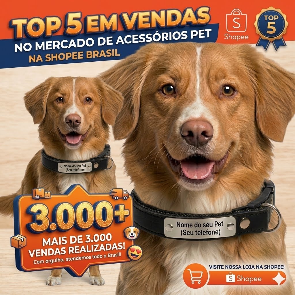 Coleira Personalizada com Nome e Telefone para Cachorro Mais Chaveiro Exclusivo Personalizado
