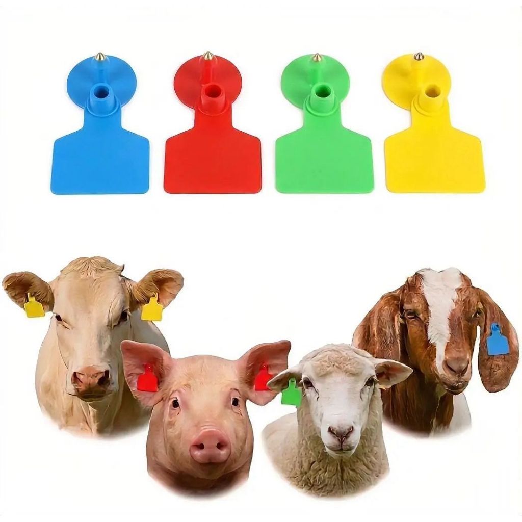 Kit 50 Brincos Identificador Gado Bezerro Porco Ovelha Liso Ou Laser