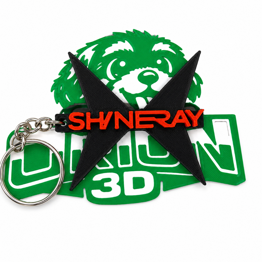 Chaveiro moto Shineray Jet 50 125 Phoenix S Urban 150 SHI 175  SHI 250 Storm 200 Titanium 250 Denver 250