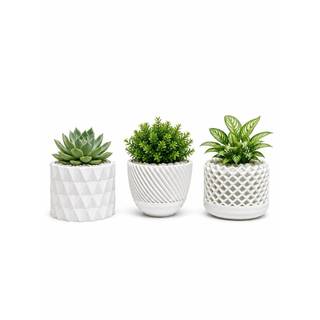 Kit 3 Vasos Decorativos minimalista