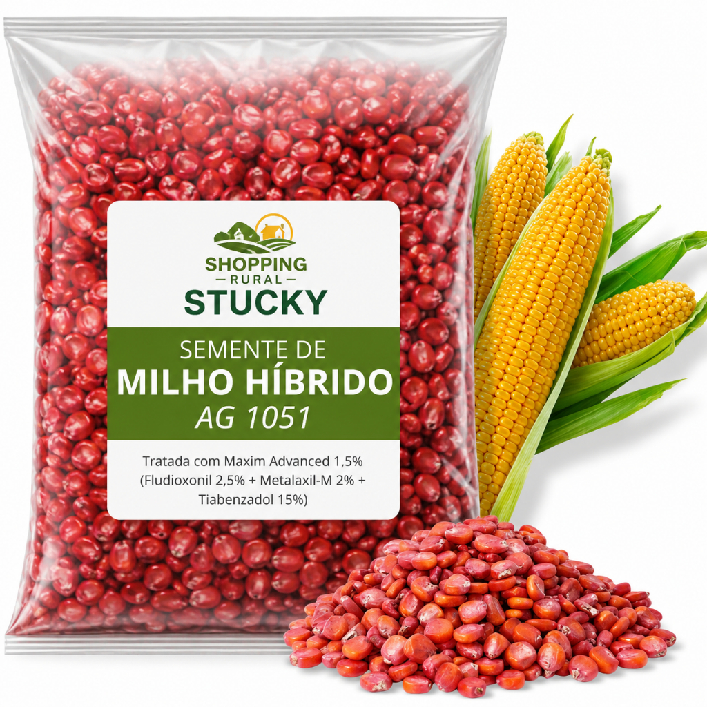 Semente de Milho Híbrido AG 1051 Seminis Fracionada Milho Verde Pamonha Curau Bolo Plantio 100g a 1kg