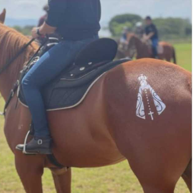 Moldes para tatuagem temporária em cavalos - (não acompanha (cola) e brilho (glitter)