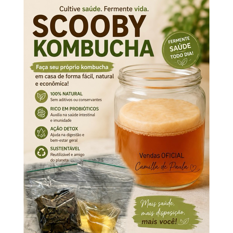 Kit Kombucha Natural Probiótico + Scoby Raiz Para Cultivo e Manual