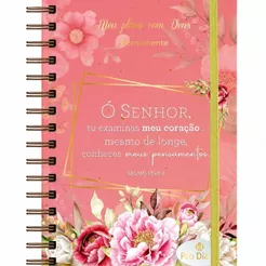 Meu Plano com Deus | Planner Devocional Capa Dura | Devocional | Intimidade