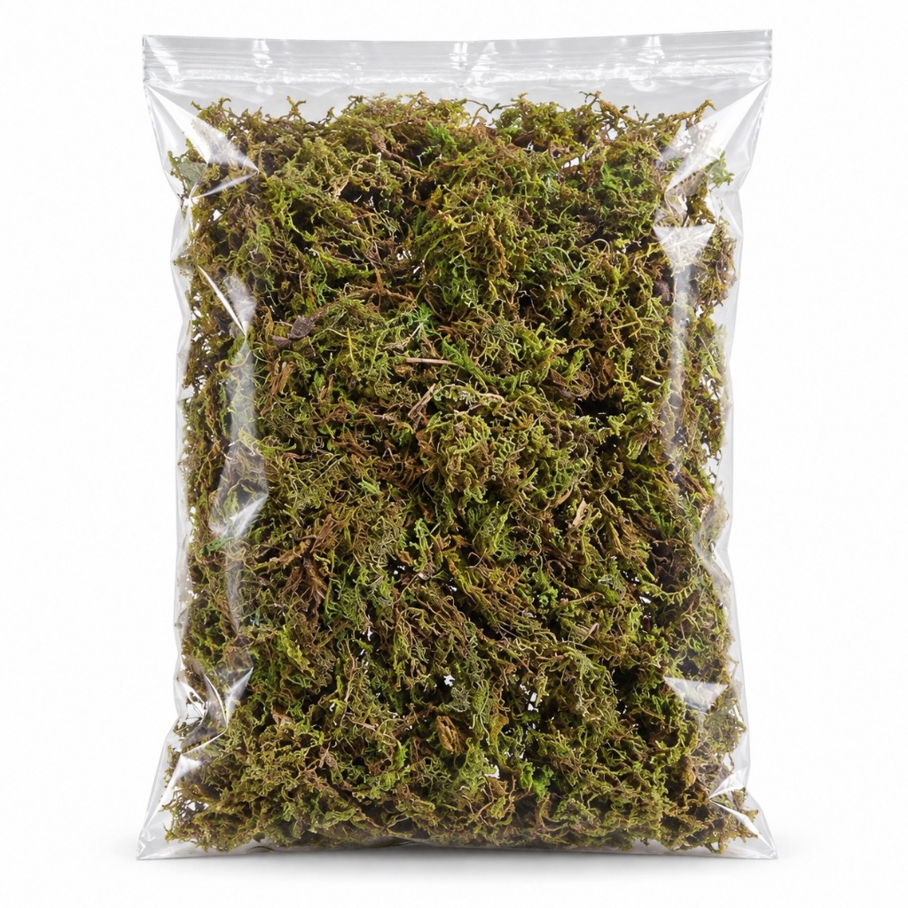 Pacote de Musgo Substrato Natural Para Artesanato Arranjos Orquídeas 50g
