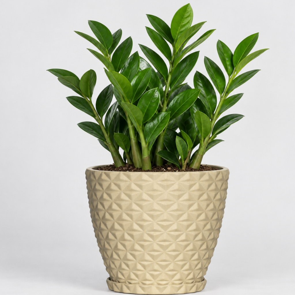 Vaso para planta decorativo em polietileno redondo estilo diamante PP COM PRATO