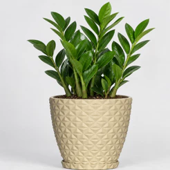 Vaso para planta decorativo em polietileno redondo estilo diamante PP COM PRATO