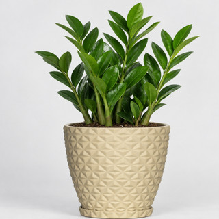 Vaso para planta decorativo em polietileno redondo estilo diamante PP COM PRATO