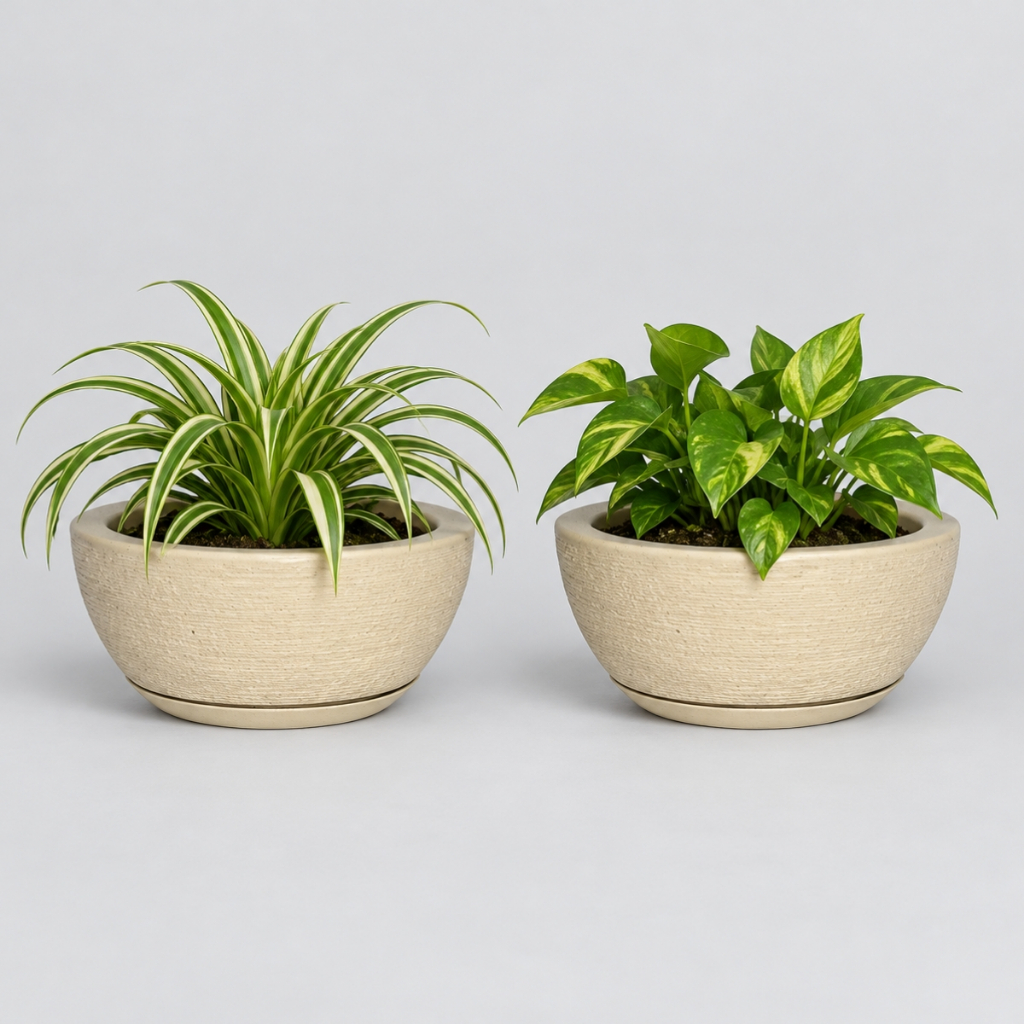 Kit 2 Vasos Decorativo em Polietileno para Planta Bacia Mini c Prato Coletor 26x13