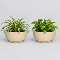 Kit 2 Vasos Decorativo em Polietileno para Planta Bacia Mini c Prato Coletor 26x13