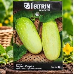 Sementes de Pepino Caipira Esmeralda Para Horta e Cultivo
