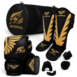 Kit Luva De Boxe Muay Thai Kickboxing + Caneleiras+ Bandagens + Bucal + Case + Bolsa KIT HARPIA