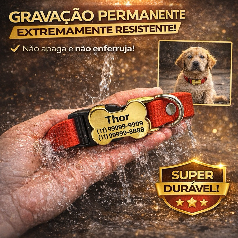 Coleira Para Cachorro Personalizada no Fecho - Não Incomoda - P/M/G Identificação Nome e Telefone