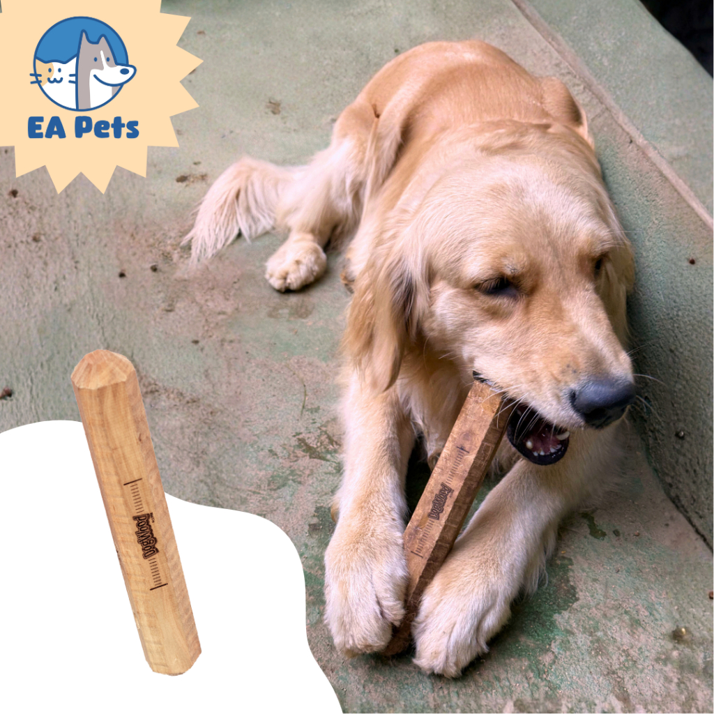 Mordedor Natural Da Pet Games Dog Wood Premium Brinquedo Feito Da Madeira De Café Para Cão Cachorro em Oferta na Shopee
