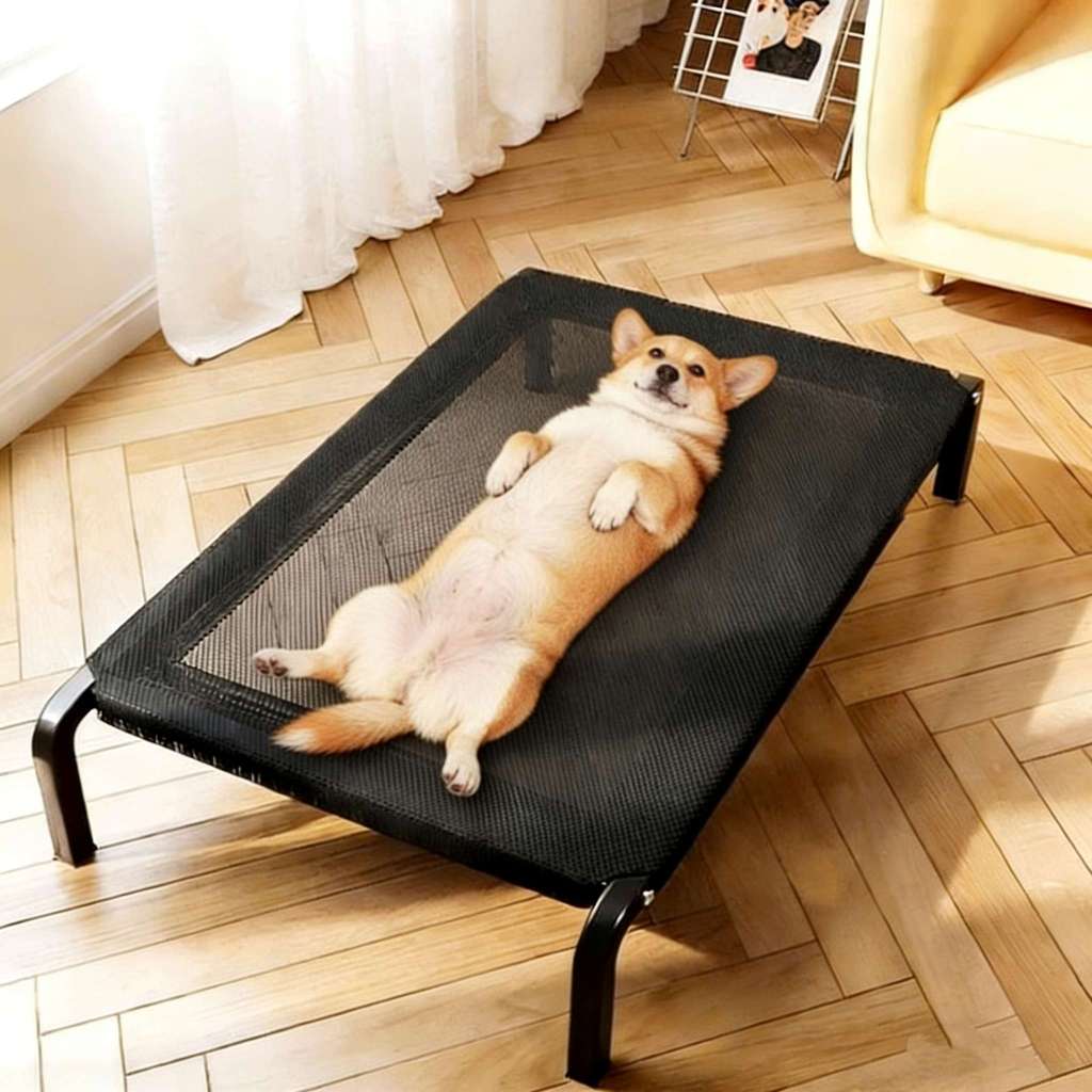 Cama Para Cachorro Suspensa Em Aluminio Elevada Pet Cachorro 90x60cm/102x69cm em Oferta na Shopee