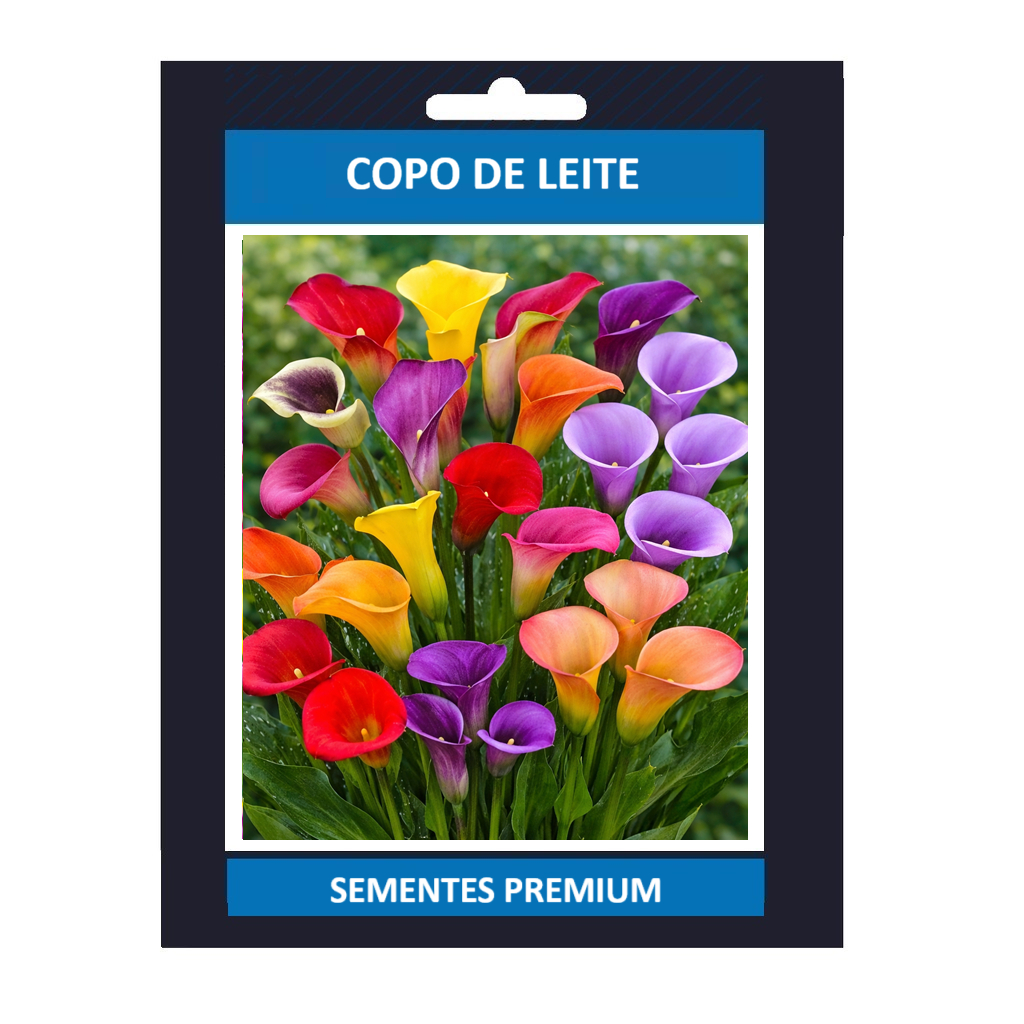 Sementes copo de leite sortidos mix de especies com manual de cultivo Premium em Oferta na Shopee