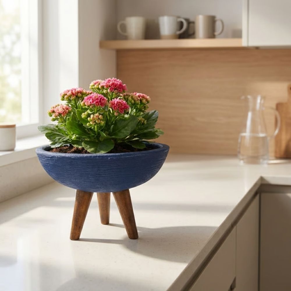 Vaso Bacia Decorativa De Polietileno 20cm Com Tripé Para Plantas E Flores · foto 2