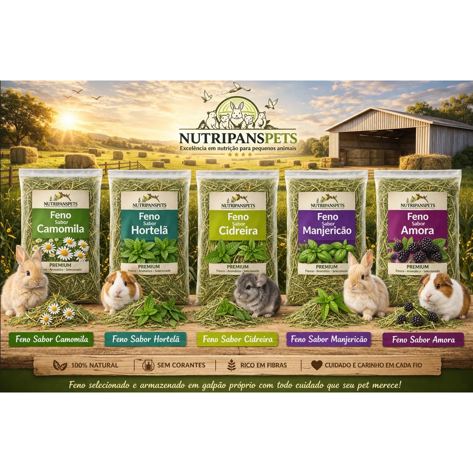 Kit Fibra Alimentar Feno Premium 05 unid 100g (cada) Saborizados